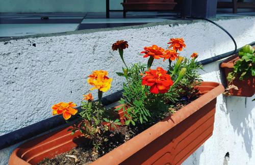 Finca Lomo Grande - Foto 50