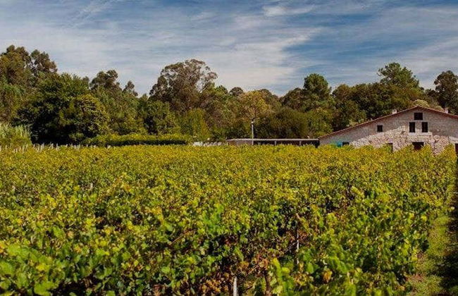 Visite de la cave Corisca - Photo 1