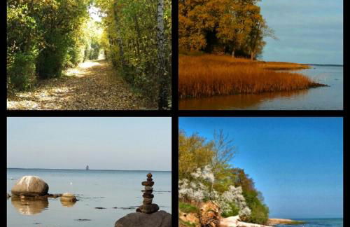 SeeStern Strandnahe Wohnung in Hohen Wieschendorf - Foto 41