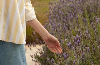 Mataka'a - Chalé Industrial na Mantiqueira - Foto 52