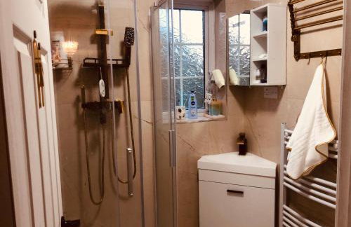 London Central 4 bed House with Garden - Photo 41