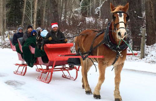 Villa On The Boulevard - Foto 15