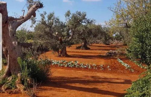 Stylish & Romantic Loft in the heart of Salento - Foto 16