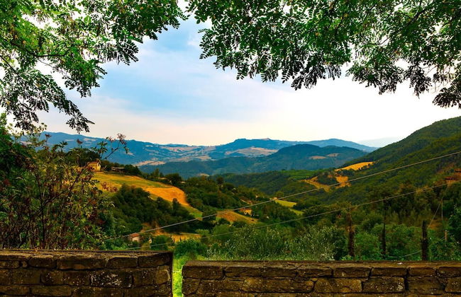 Fc-i310-lcal0at - Pieve del Borgo 6 2 - Foto 8