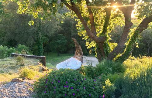 Le Mouron Rouge - Foto 42