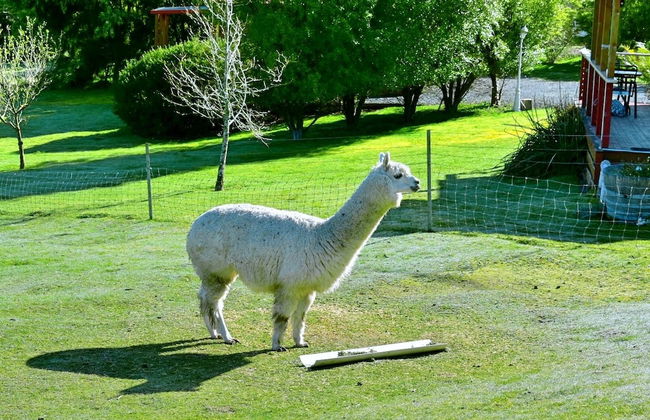 Maydena Mountain Cabins - Foto 24