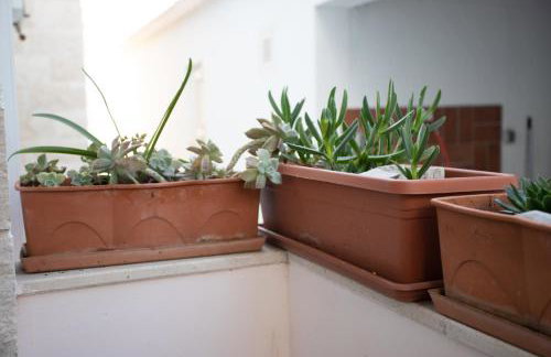 Bol Studio Gospojica - Photo 23