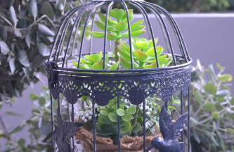 Casa d' Avó Zeza - Foto 14