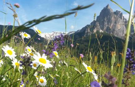 Eden Apartments - Foto 53