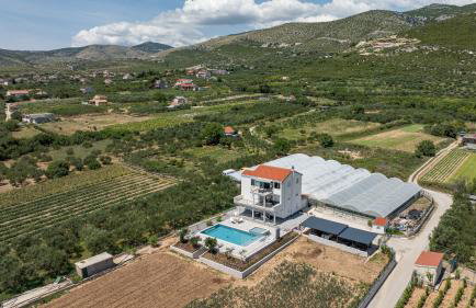 Family harmony - Foto 12