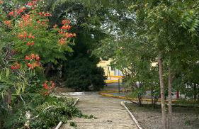 Flat - Condomínio Brisa da Serra - Gravatá - Foto 30