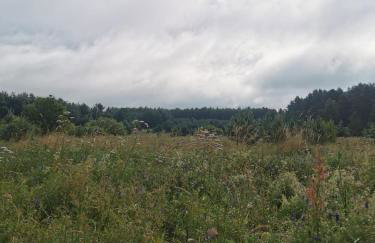 sosnowelowe - Foto 79