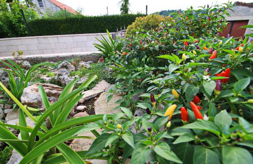 Green Garden House - Foto 29