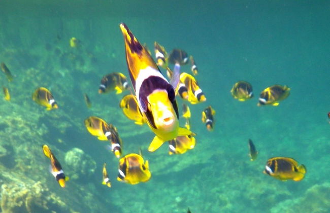 Maluhia Kahakai 2 Bedroom Condo by RedAwning - Foto 19