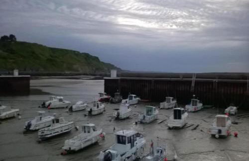 Tranquil Cottage in Normandy - Foto 27