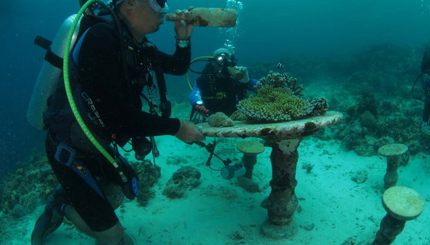 Découvrir les secrets sous la mer