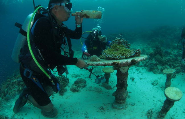 Buceo en Moalboal - Foto 2