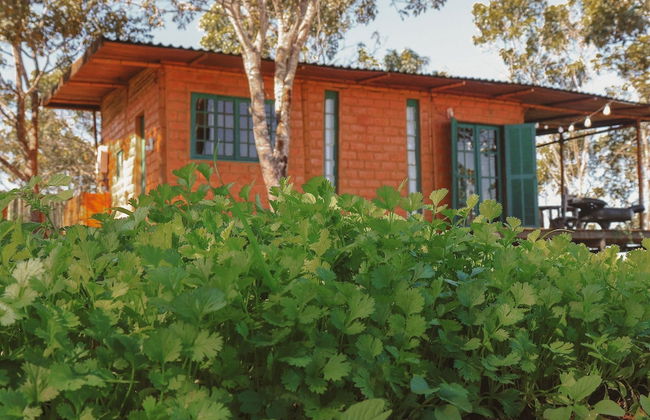 MORRO DA LUZ - Foto 50