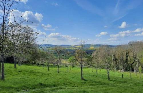 The Hen Den - Foto 11