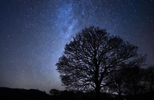 Ash Lodge - Hw7442 - Foto 29