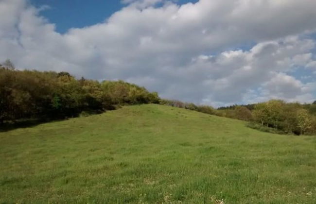 Agriturismo Valdifiori - Photo 28