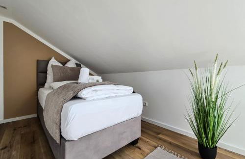 Alpha Apartments - Photo 17