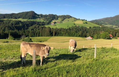Ferienwohnung Steibis / Allgäu - Foto 31
