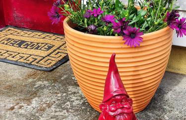 Casilda y Villamil Playa de Patos & Camino de Santiago - Foto 32