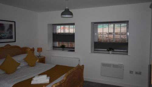 7 Plants Yard - Foto 4