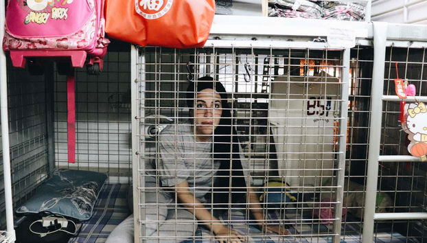 Conociendo las casas jaula