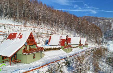 Domki Beskid - Foto 78