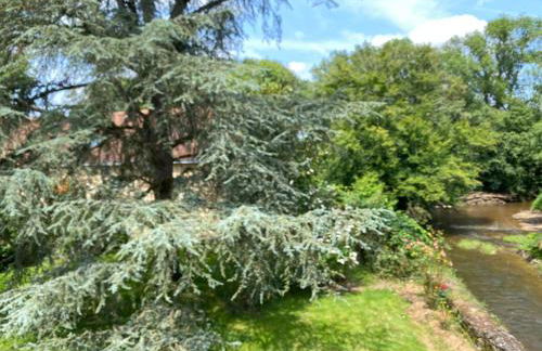 L’observatoire en Berry - Foto 22