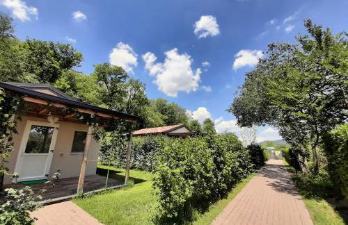 Agriturismo Alba - Photo 35