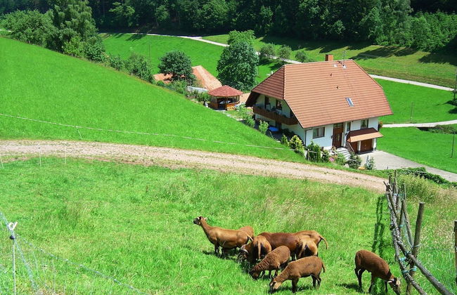 Apartment in Hofstetten Surrounded by Nature - Foto 19