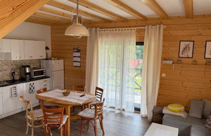 Domki Wilcza A - Foto 16