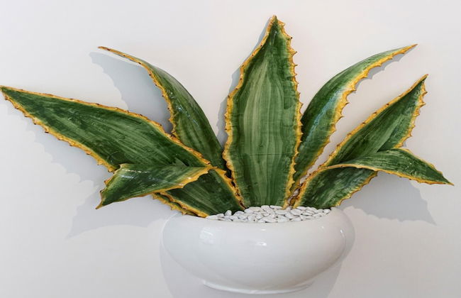 Resort Ravenna in Massa Lubrense - Foto 54