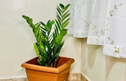 Casa ao lado do Sebrae - Foto 31