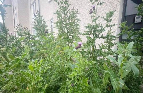 Renfrew Town Centre Easy Link to Glasgow City - Pass the Keys - Foto 46