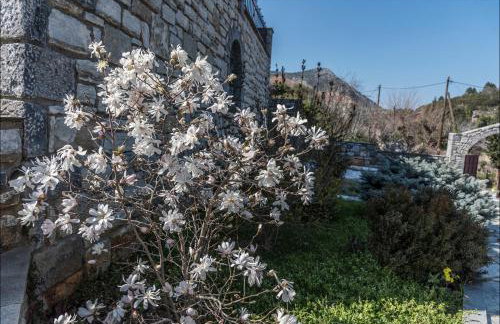 Stone Mansion Anavryti, ΑΜΑ 20569 - Foto 19