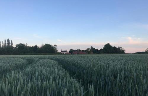 Chestnut Lodge - Foto 37