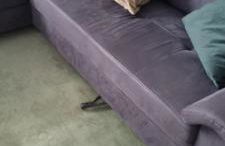 Ferienwohnung Odersee - Foto 12