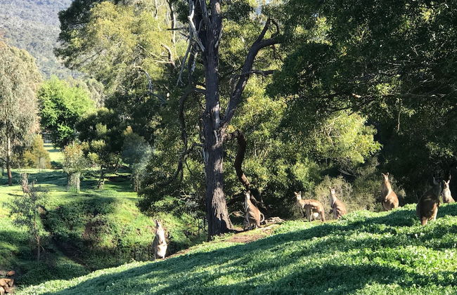 Ironstone Romantic Couples Retreat - Photo 16