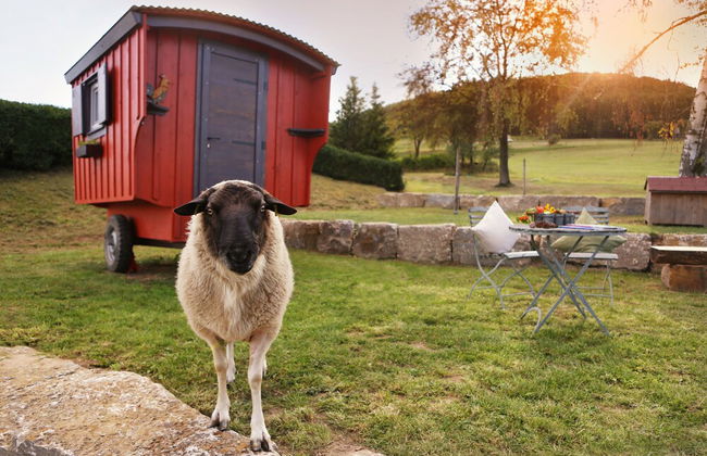 Paltian Ferienhäuser - Foto 6