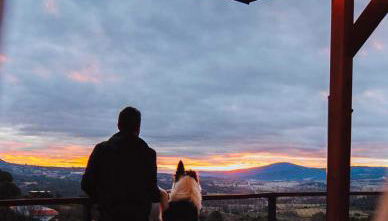 NidoGredos Cabañas Ecológicas de Diseño - Photo 5, Garden