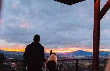 NidoGredos Cabañas Ecológicas de Diseño - Photo 5