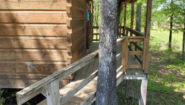 Dream of a log cabin - Foto 4