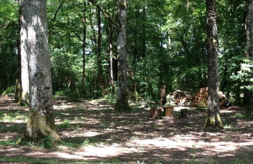 le petit clos - Photo 9