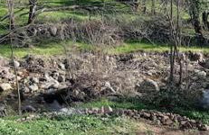 Molino Mellado - Foto 39