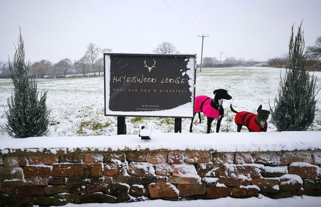Hayeswood Lodge Luxury Accommodation - Photo 17
