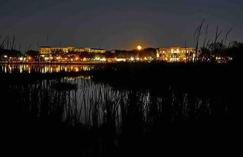 Lakeside retreat - 3 Bedroom, 2 Bathroom house by the lake - Foto 9